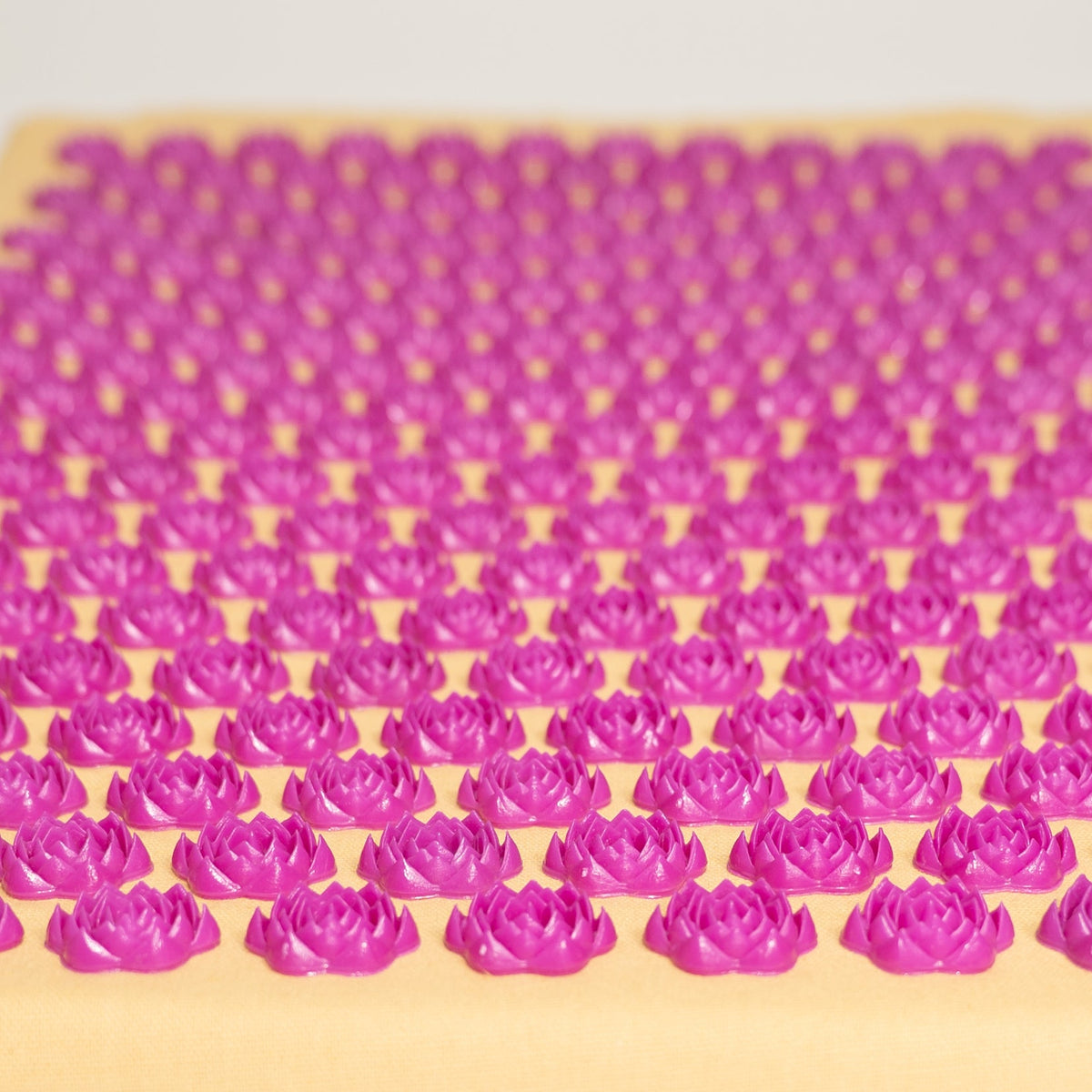 The Mat & Pillow